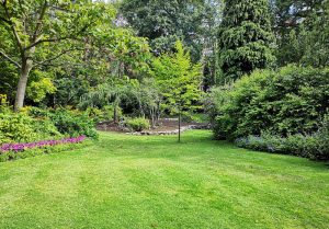 Optimiser l'expérience du jardin à Saint-Didier-en-Bresse