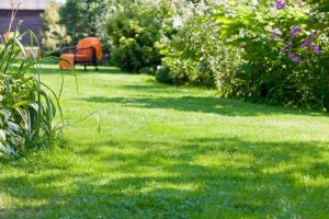 travaux jardin et paysage Saint-Didier-en-Bresse